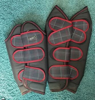 Transportgamaschen, QHP, Patricia, Tendon Boots, Nordhorn