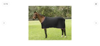 Transport Set Warmblut Full Transportgamaschen + Abschwitzdecke 145 Amigo Amigo Jersey Coller + Travel Boots