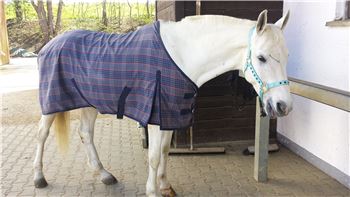 Transport- und Sommerdecke Horse friends *neuwertig*, Horse friends by Loesdau Transport- und Sommerdecke Gr. 135, grau-karo, Uli, Pferdedecken, Freising