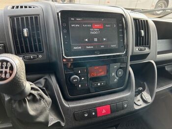 Pferdetransporter Hengstausstattung Viehtransporter Tiertransporter Selbstfahrer Opel Movano 3500KM Opel Movano Stephex