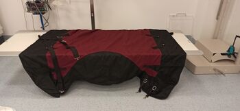 Transportdecke, Daniela Fraungruber , Horse Blankets, Sheets & Coolers, Eberschwang 