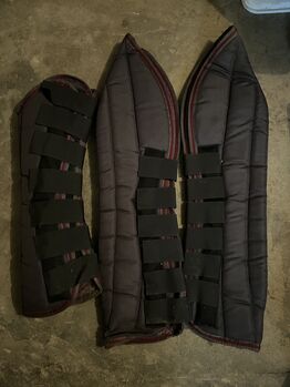 Transportgamaschen Set WB/VB, Leo, Tendon Boots, Ahlen 