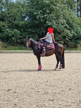 Der Traumpartner für Sport und Freizeit