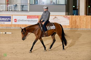 Traumstute für Sport und Freizeit, Kerstin Rehbehn (Pferdemarketing Ost), Pferd kaufen, Nienburg
