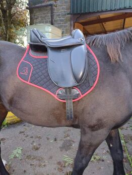 Treeless saddle, Easitrek Comfort, Easitrek Comfort , Nikki Allen, Bezdrzewne siodło, Somerton