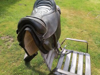 Baumloser Sattel - Markensattel, Familie, Treeless Saddle, Rahden