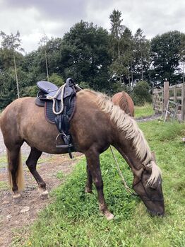 Trekker adjustable saddle, Trekker, San Alden , Other Saddle, Witney 