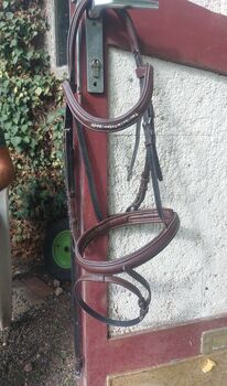 Trense, braun DT Saddlery, abwaschbar DT Saddlery 