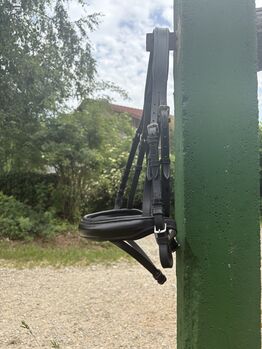 Trense Englisch kombinierte Trense schwarz in Warmblut