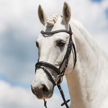 Trense von Kieffer Ultrasoft Fashion, Warmblut, Original verpackt, OVP 189 Euro, Kieffer Ultrasoft Fashion, Sabine, Trensen, Usingen