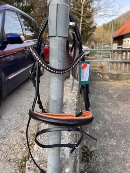 Trense Loesdau Neu, Loesdau, Stefanie , Trensen, Blumberg 