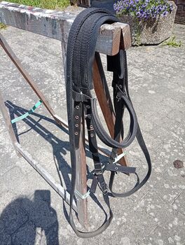 Trense Nylongurt WB, TaBe, Trensen, Lehrte