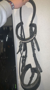 Trense mit Perlen-Stirnriemen, Freya, Trensen, Farschweiler