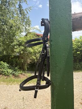 Trense von Waldhausen schwarz Größe COB/Vollblut Waldhausen