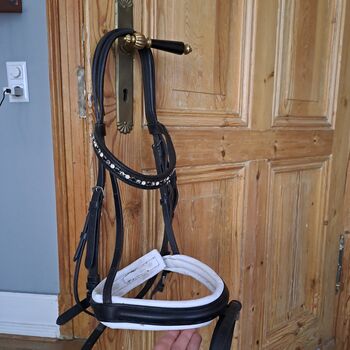 Trense Warmblut Busse Busse  Solibel