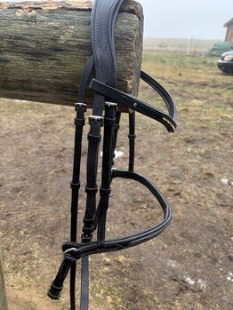 Trense Ziernähte Leder schwarz Cob