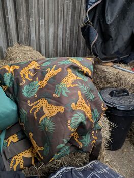 Turnout and stable rugs, Weatherbeta trojan etc, Helen Dawes Of, Horse Blankets, Sheets & Coolers, FARNHAM