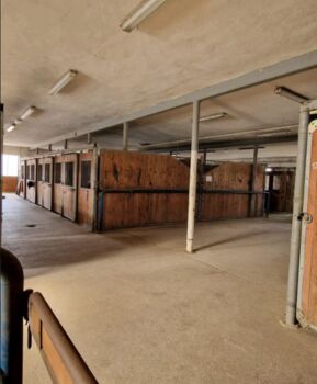 zwei Pferdebox frei / Selbstversorger ab April