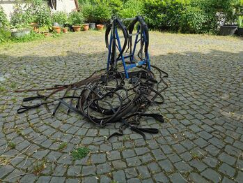 Zweispänner Brustblattgeschirr