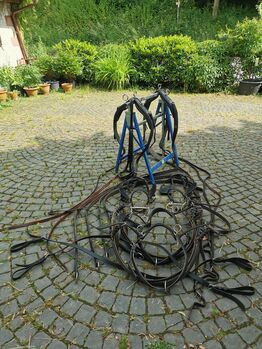 Zweispänner Brustblattgeschirr, Simone, Horse Harness, Schönenberg-Kübelberg