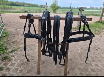 Zweispänner Ledergeschirr Brustblatt Pony, AK, Horse Harness, Stimpfach