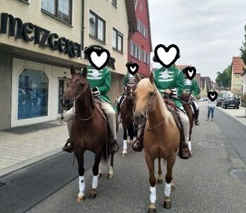 Zwei erfahrene Quarter Horses suchen gemeinsam ihr Für-immer-Zuhause