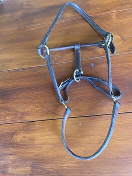 Zwei Halfter, Walter Kampmann , Halters, Oberzent 