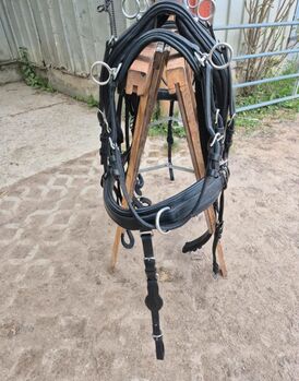 Zweispänner Ledergeschirr Brustblatt Pony