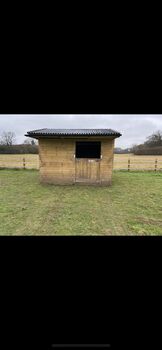 Two stables/field shelters, Louise, Wolna stajnia, Salisbury 