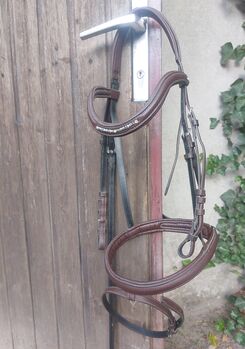 Trense, braun DT Saddlery, abwaschbar, DT Saddlery , Kerstin , Bridles & Headstalls, Mönchengladbach 