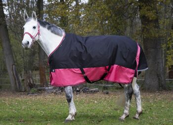 Tyrex 1200 D Weidedecke 145cm Outdoordecke Regendecke, Equitheme Tyrex 1200, Moni, Pferdedecken, Attenkirchen