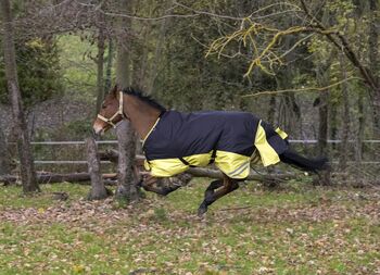 Tyrex 600 Weidedecke 155cm Outdoordecke Regendecke Equitheme Tyrex 600