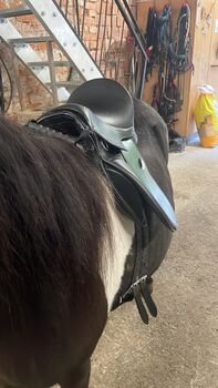 Tyson 12 Zoll, Tyson VS, Johanna , Reitpad, Schwarzenberg