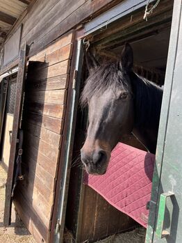 Pflegebeteiligung in Wien zu vergeben