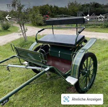 Wunderschöner Gig der Firma Maier, Maier Deutschland  Turnier Swinger, Nadja Klement , Carriages, Enzersdorf/Fischa