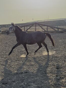 Nachwuchsstar von Casino Berlin zum Selberausbilden.
