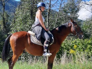Ungarisches Sportpferd, Catharina , Pferd kaufen, Ellbögen