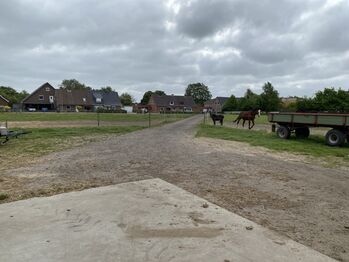 Stellplatz in Nordseenähe, Dehn, Horse Stables, Marnerdeich