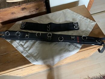 Longiergurt WB, Horses , Kerstin, Lonżowanie, Versmold