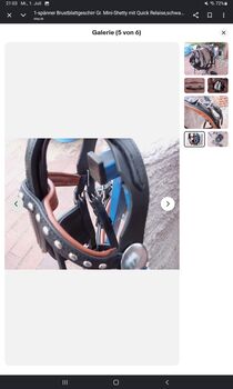Shetty Geschirr, Hope, Uprząż dla powozy konne, Wolfenbüttel