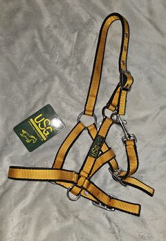 USG Halfter, Fohlen, neu, orange/schwarz, USG, Nicole, Halters, Anderlingen