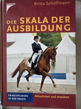 Skala der Ausbildung