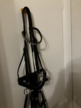 Horse equipment English Leather