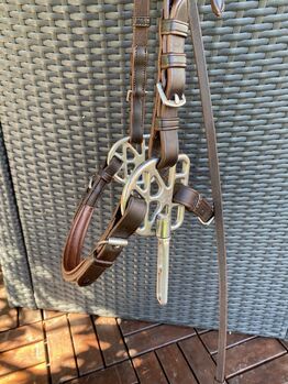 Gebissloser Zaum Starbridle