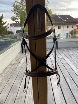 Bitless Bridle mit Gurtzügel