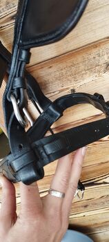 Fahrkopfstück Fahrzaum Kopfgestell, Cob