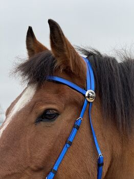 Kunststoff Zaumzeug BLAU glänzend mit Martingal