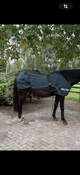 Gebrauchte Bemer -Therapiedecke, Bemer Therapiedecke, Maren Gerwens, Derki dla konia, Gronau 