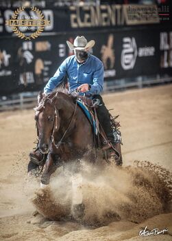 V: Topsail Whiz MV: Jac O Rima, Bernhard Bangheri , Horses For Sale, Reith im Alpbachtal 