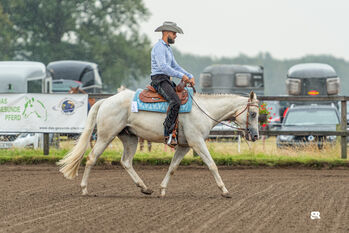 bildhübscher, kompakter Appaloosa Wallach, Kerstin Rehbehn (Pferdemarketing Ost), Horses For Sale, Nienburg